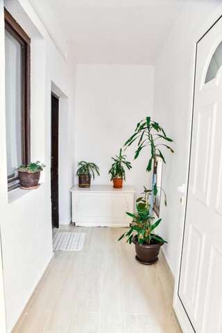 Апартаменты Apartment Jasovic Улцинь Апартаменты с видом на море-13