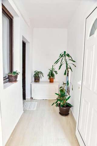 Апартаменты Apartment Jasovic Улцинь Апартаменты с видом на море-40